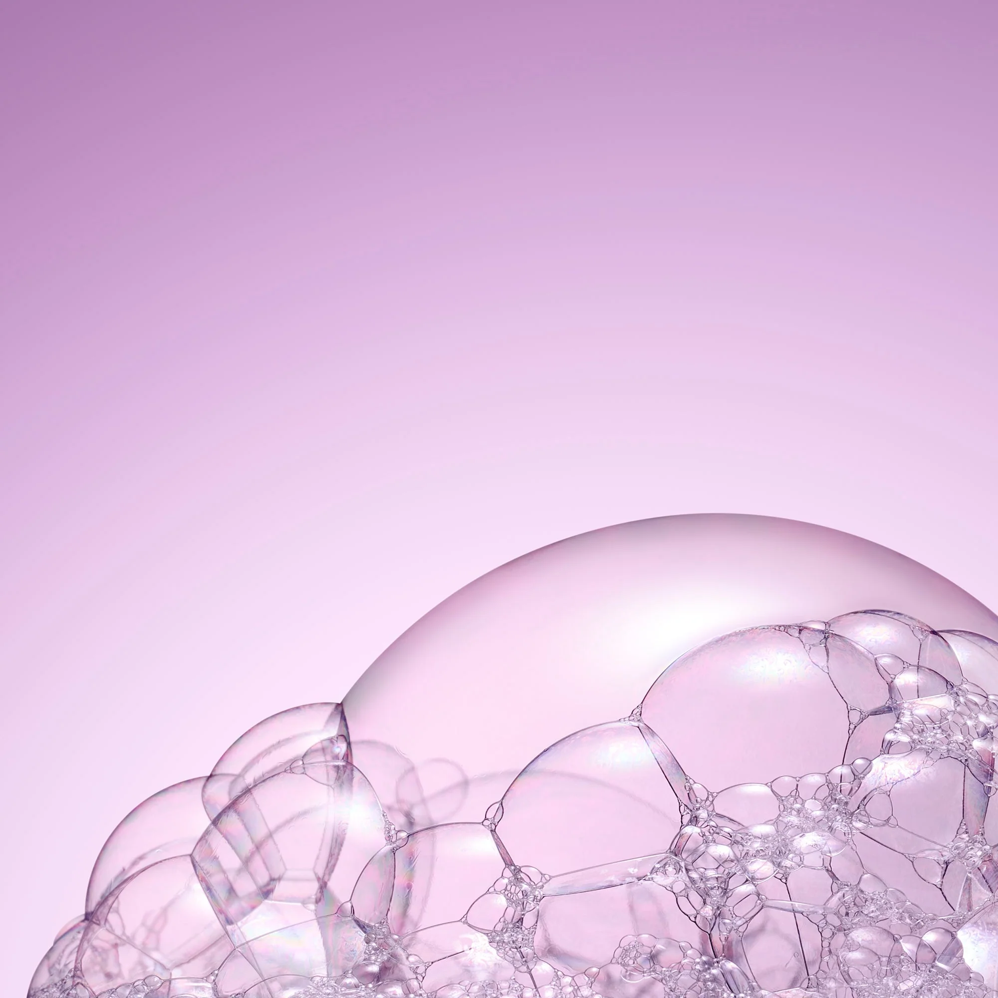 The High Shine Shampoo - Image 2